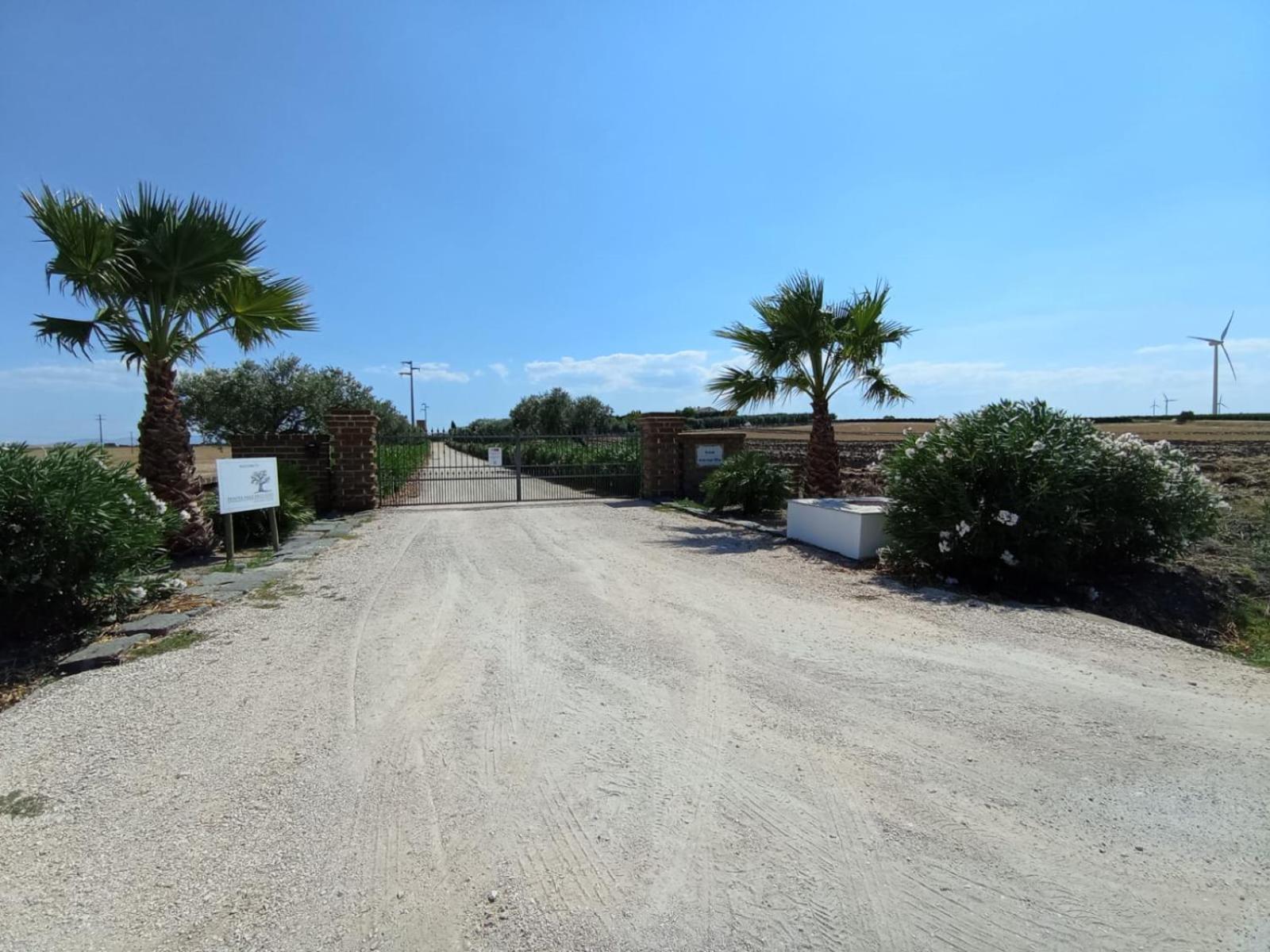 Tenuta Viale Degli Ulivi San Martino in Pensilis Exterior foto